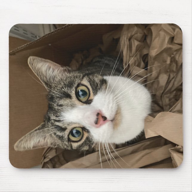 Mousepad Mat de Rato Gato (Frente)