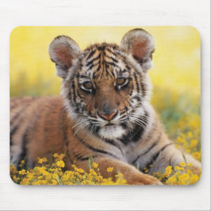 Mousepad Mat do mouse com Cub de Tigre