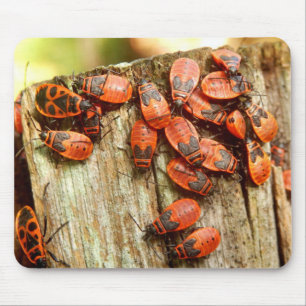 Mousepad Mat do mouse Firebugs