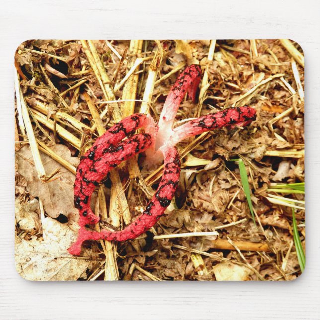 Mousepad Mat do mouse Octopus Stinkhorn (Frente)