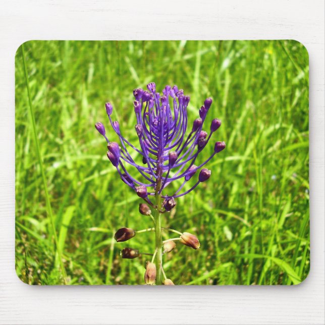 Mousepad Mat do mouse Tassel-Hyacinth (Frente)