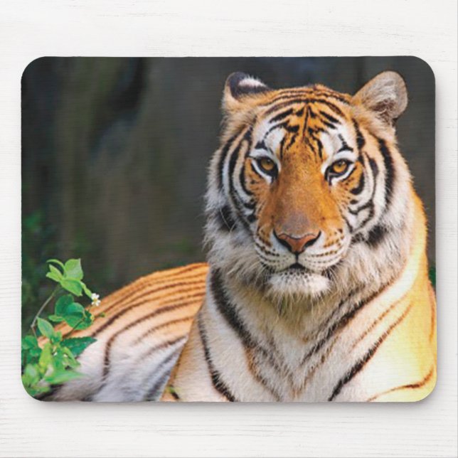 Mousepad Mat do mouse Tiger (Frente)