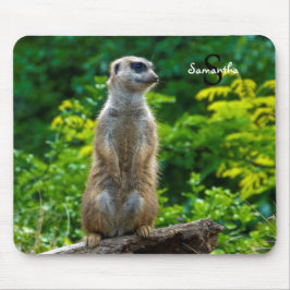 Mousepad Mat do rato Meerkat