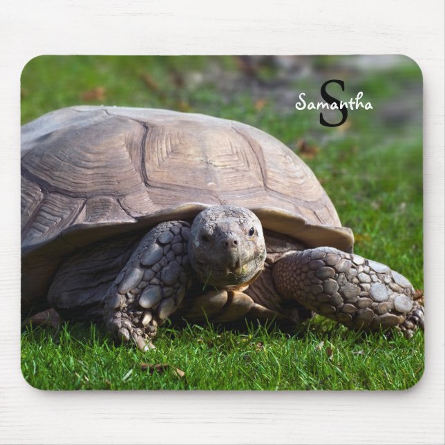 Mousepad Mat do rato Tortoise (Frente)