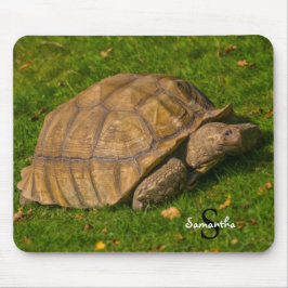 Mousepad Mat do rato Tortoise