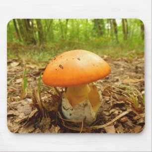 Mousepad Matemático de rato Amanita Caesarea