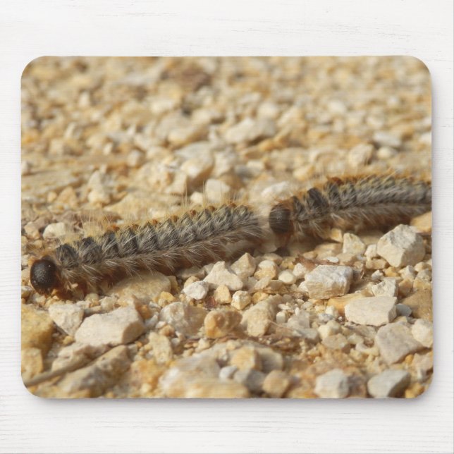 Mousepad Matéria-prima do rato com lagartas de transformaçã (Frente)