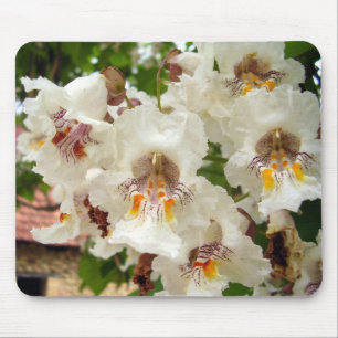 Mousepad Mato de Rato das Flores de Bean Indianas