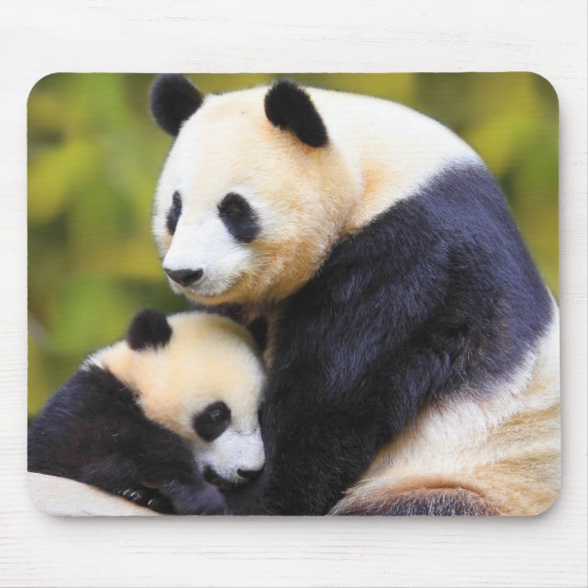 Mousepad Mato De Rato Panda Muito Bonito (Frente)