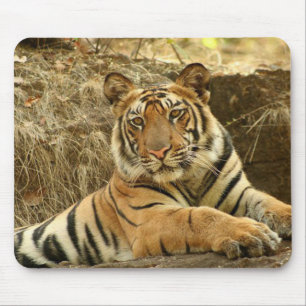 Mousepad Mato do Mouse Muito Gelado