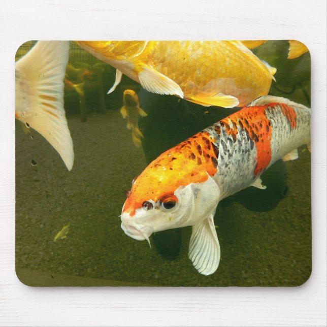 Mousepad Mato Do Rato Koi Carp (Frente)