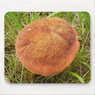 Mousepad Mato do Rato Ruby Bolete Mushroom