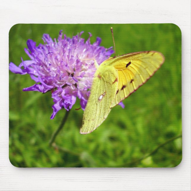 Mousepad Matriz de mouse amarelo-borboleta nublado (Frente)