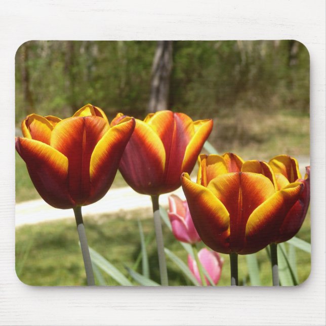Mousepad Matriz de Mouse Tulipas Vermelhas e Amarelas (Frente)