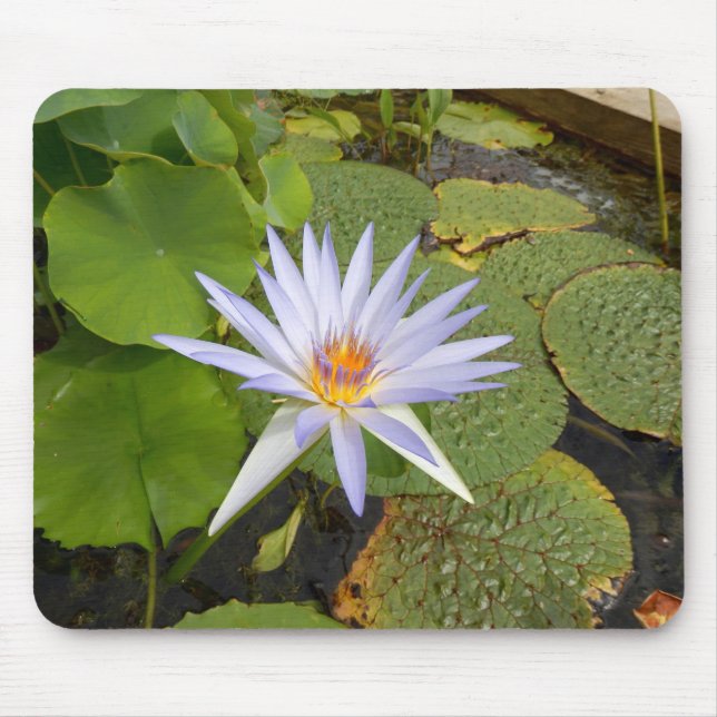 Mousepad Matriz de Rato de Lily Água (Frente)