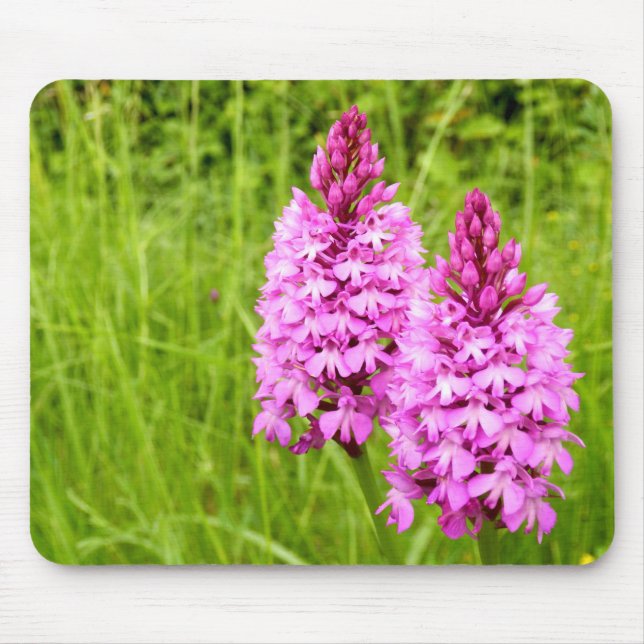 Mousepad Matriz de Rato de Orquídea Pirâmide (Frente)