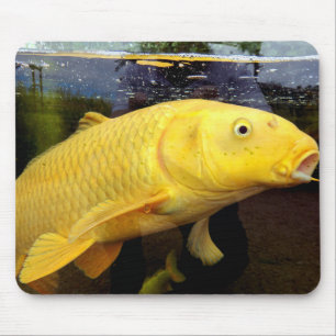 Mousepad Matriz de rato Koi Carp