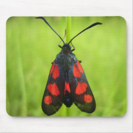 Mousepad Matriz do mouse Burnet de cinco pontos