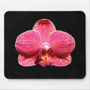 Mousepad Matriz do mouse da Orquídea