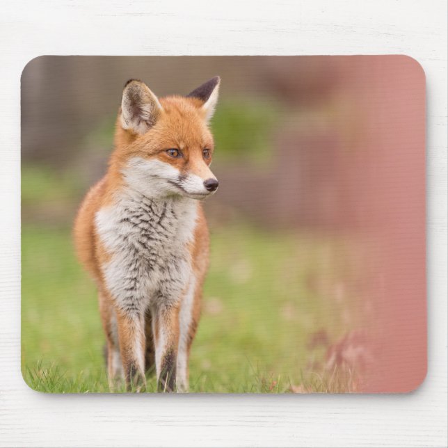 Mousepad Matriz do Rato Fox Vixen (Frente)