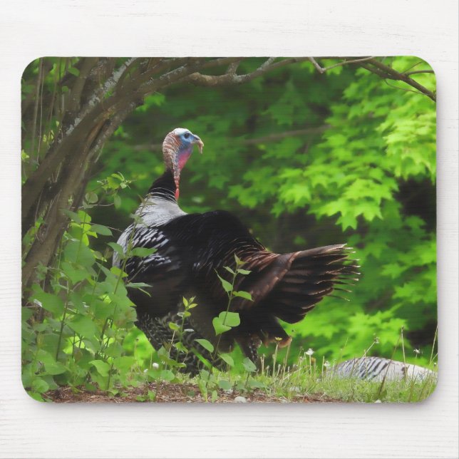 Mousepad Mature Male Wild Turkey (Frente)