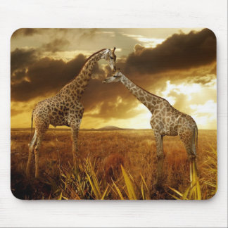 Mousepad Mauspad girafas pôrs do sol