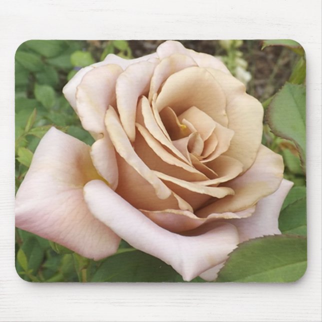 Mousepad Mauve Rosa (Frente)