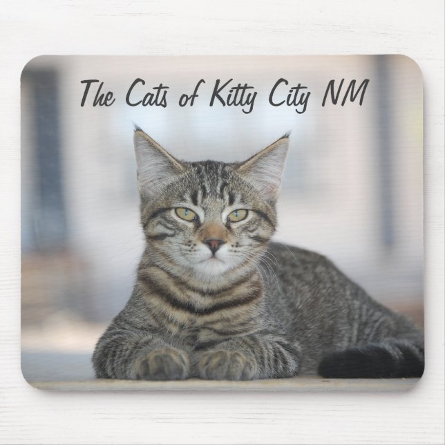 Mousepad Maximiano 1, os gatos da cidade nanômetro do (Frente)
