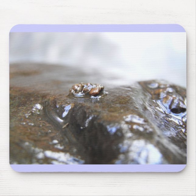 Mousepad McDonald-Dunn. Angra do carvalho. Uenoidae (Frente)