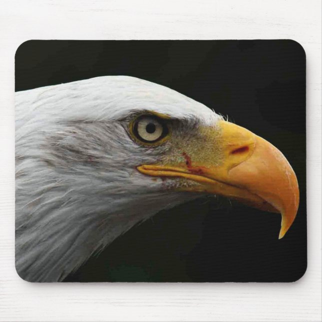 Mousepad Mcnm da águia careca (Frente)