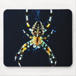 Mousepad Mcnm de aranha do jardim europeu