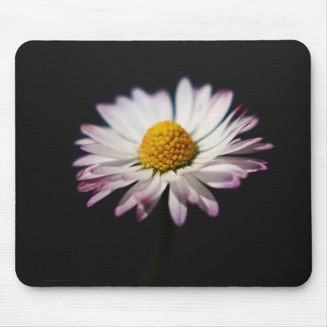 Mousepad Mcnm de margarida comum (Frente)