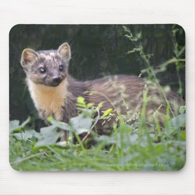 Mousepad Meadow Marten Mousemat (Frente)