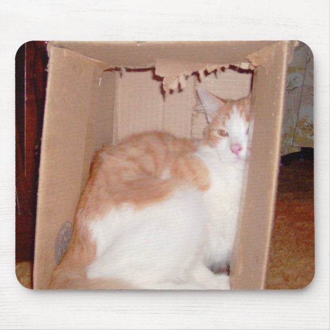 Mousepad Medula De Gatos 31 (Frente)
