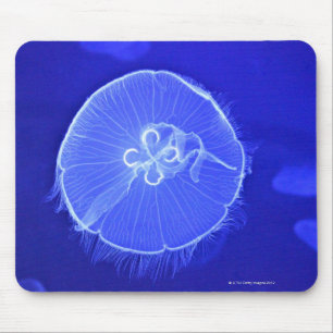 Mousepad Medusa