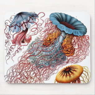 Mousepad Medusa Antiga por Ernst Haeckel, Discomedusae