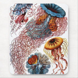 Mousepad Medusas por Ernst Haeckel