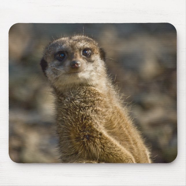 Mousepad Meerkat (Frente)