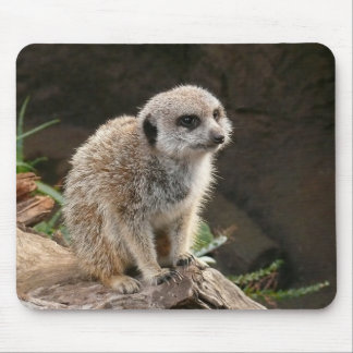 Mousepad Meerkat