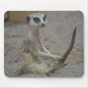 Mousepad Meerkat