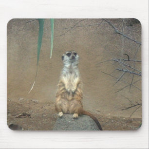 Mousepad Meerkat