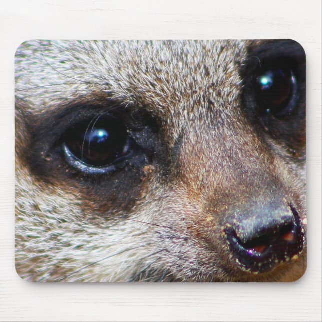 Mousepad Meerkat (Frente)