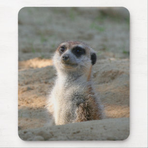 Mousepad Meerkat 004