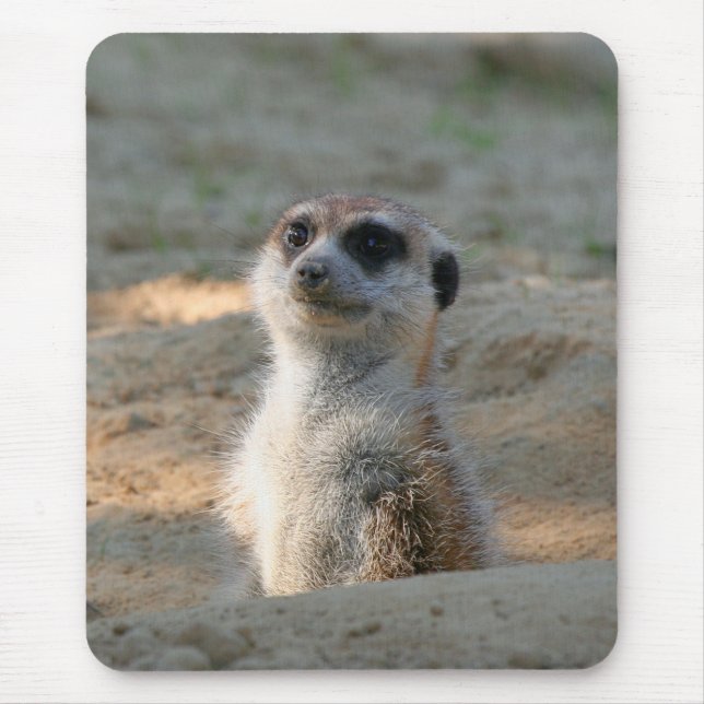 Mousepad Meerkat 004 (Frente)