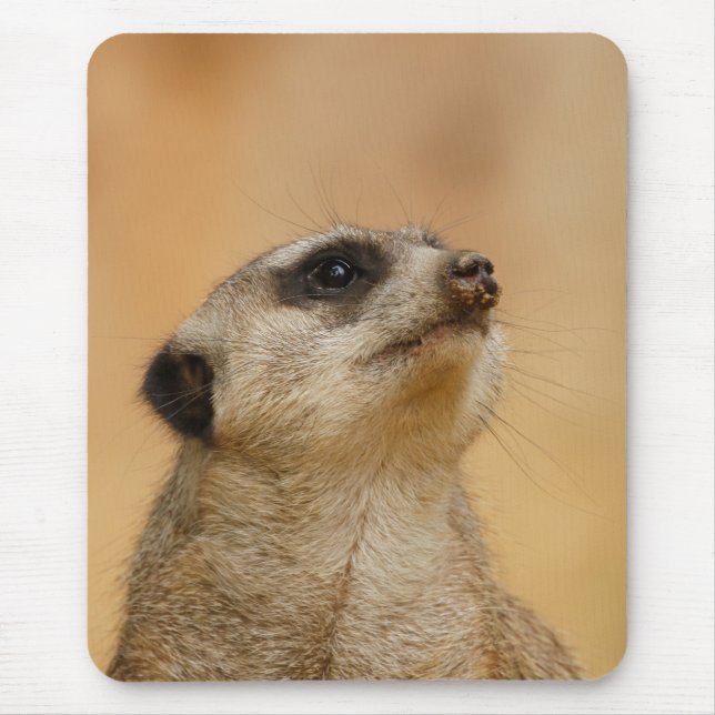 Mousepad Meerkat 011 (Frente)