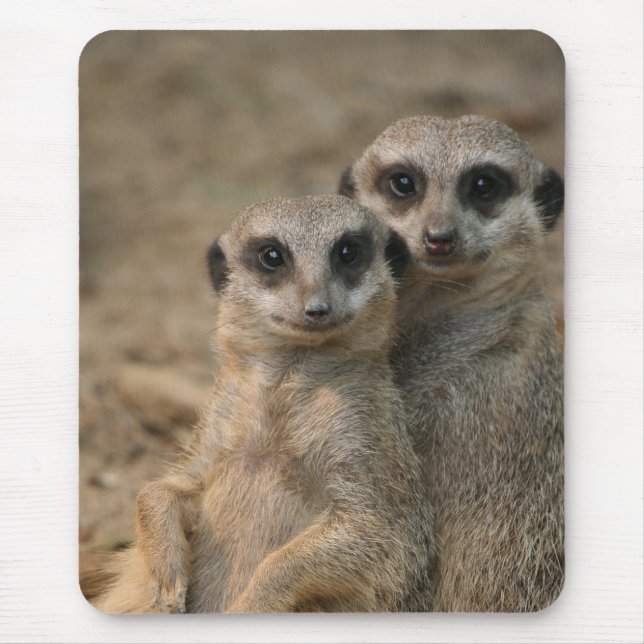 Mousepad Meerkat 067 (Frente)