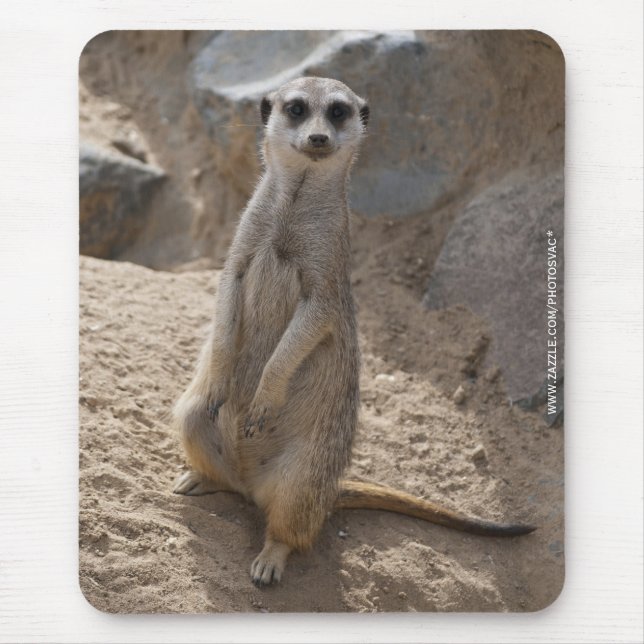 Mousepad Meerkat Incrível (Frente)