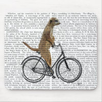 Meerkat na Bicicleta