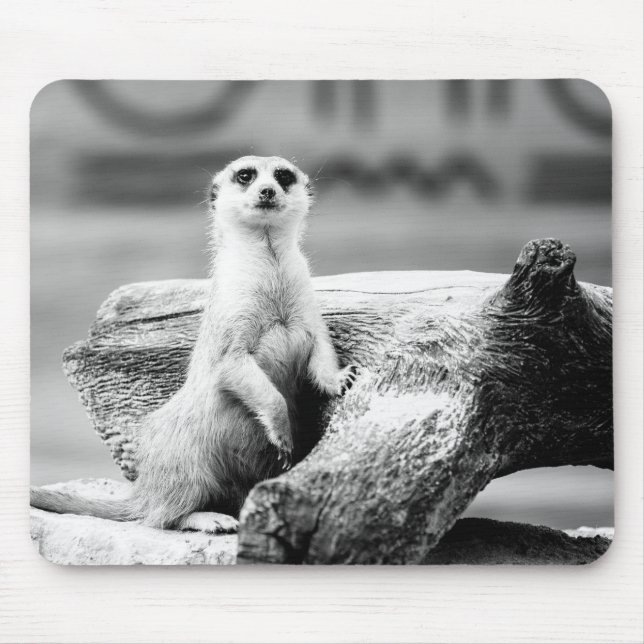 Mousepad Meerkat preto e branco em uma árvore (Frente)