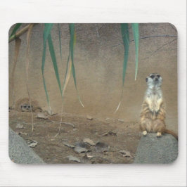 Mousepad Meerkats